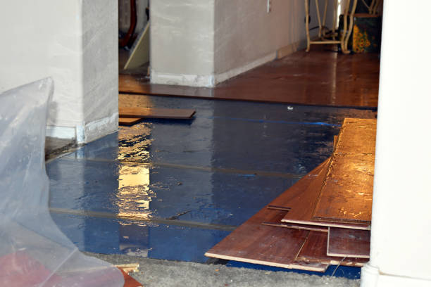 Professional Basement Flood Cleanup technician working in Wynnewood, PA